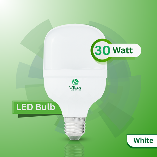 30 Watt Bulb